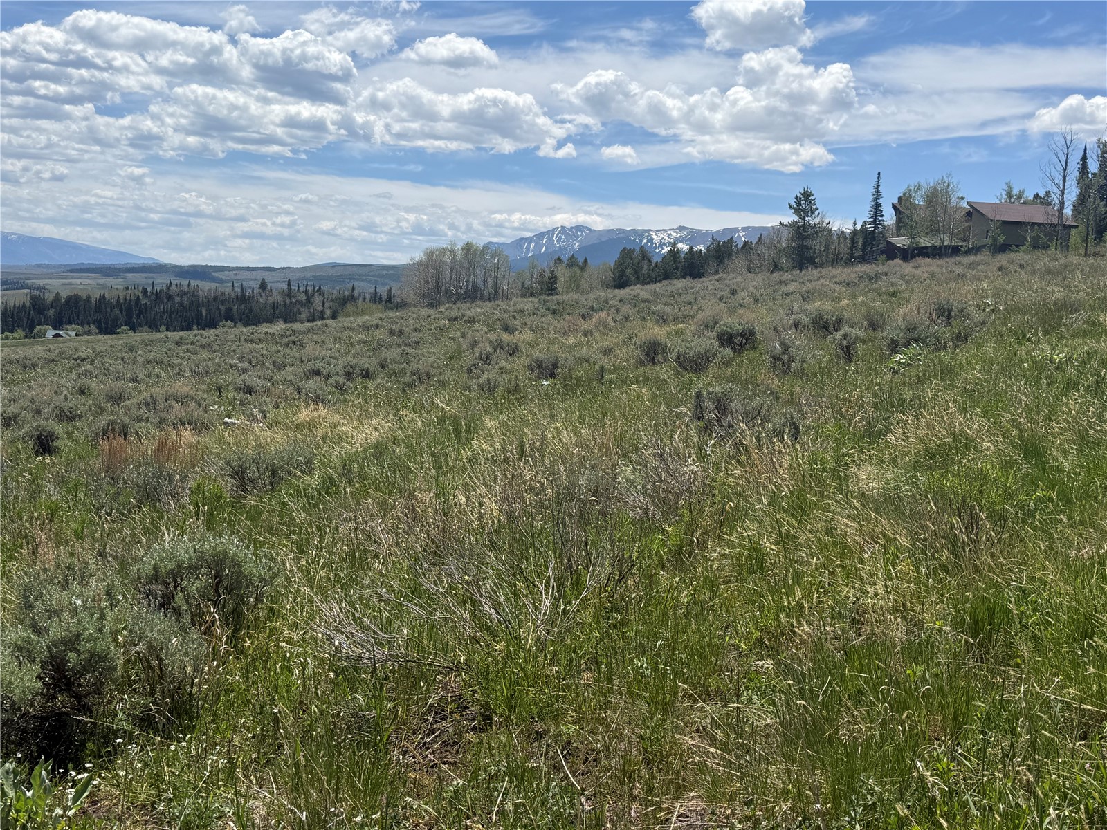 Tbd Spring Creek Ranch Road Silverthorne CO 80498