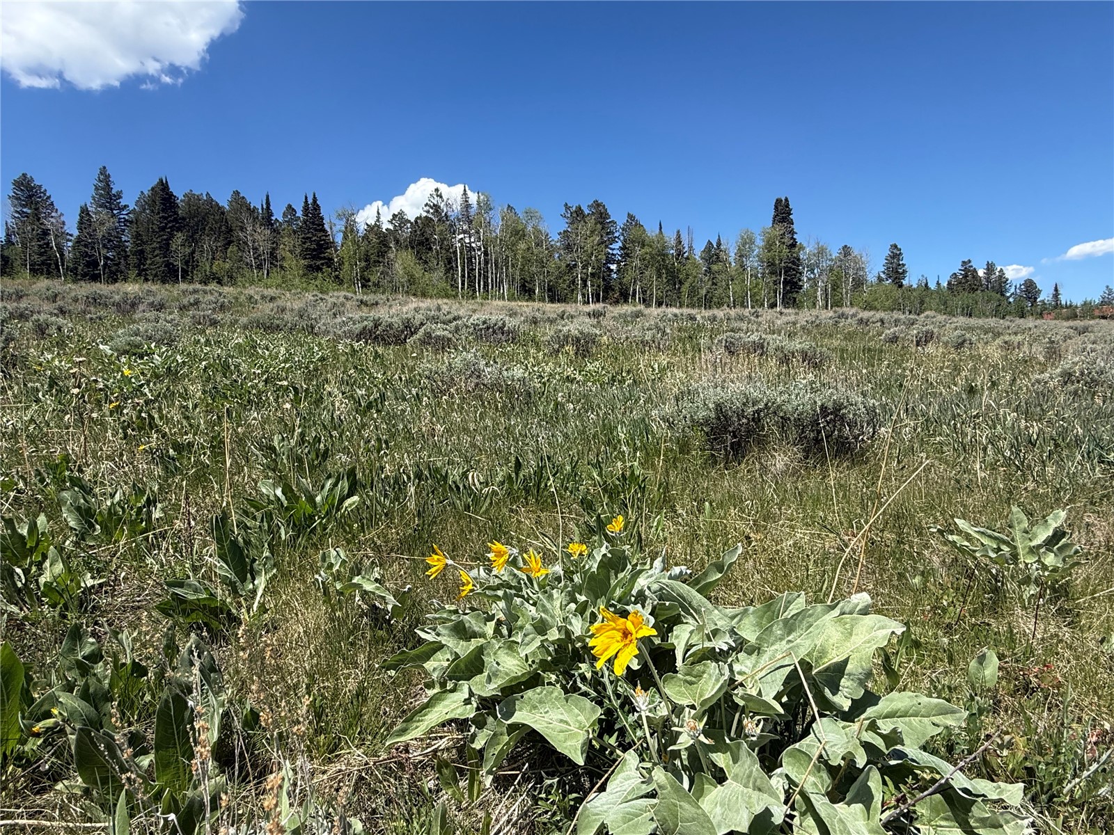 Tbd Spring Creek Ranch Road Silverthorne CO 80498