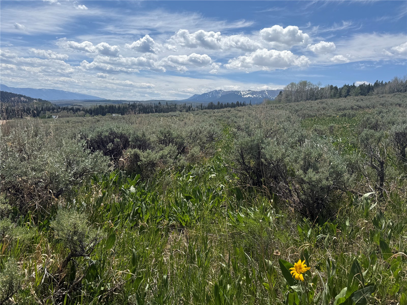 Tbd Spring Creek Ranch Road Silverthorne CO 80498
