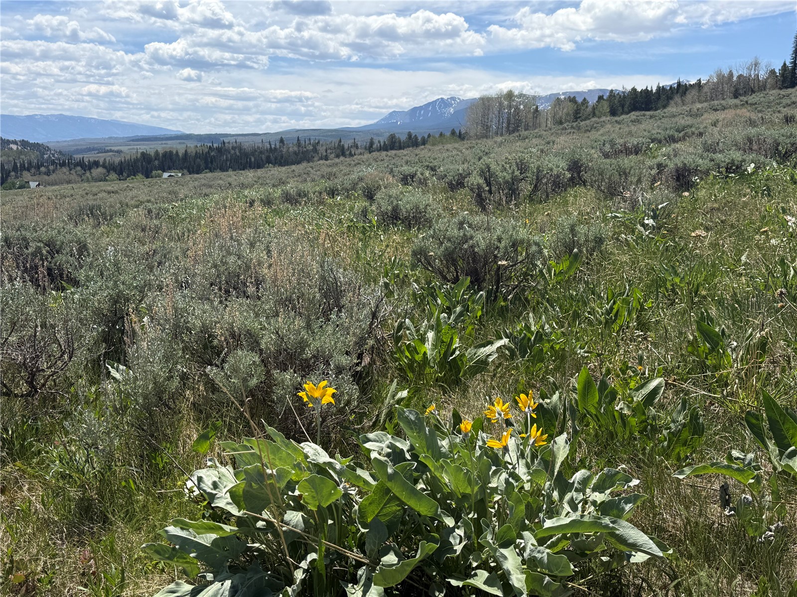 Tbd Spring Creek Ranch Road Silverthorne CO 80498