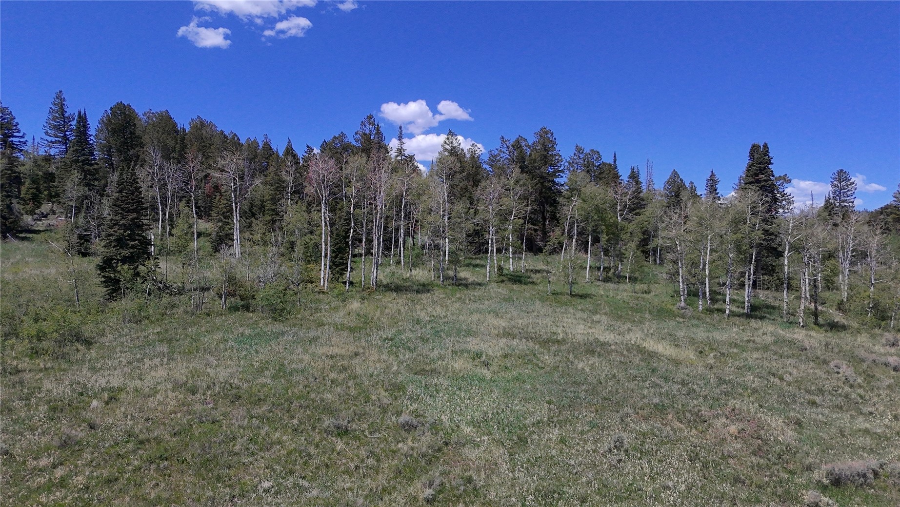 Tbd Spring Creek Ranch Road Silverthorne CO 80498