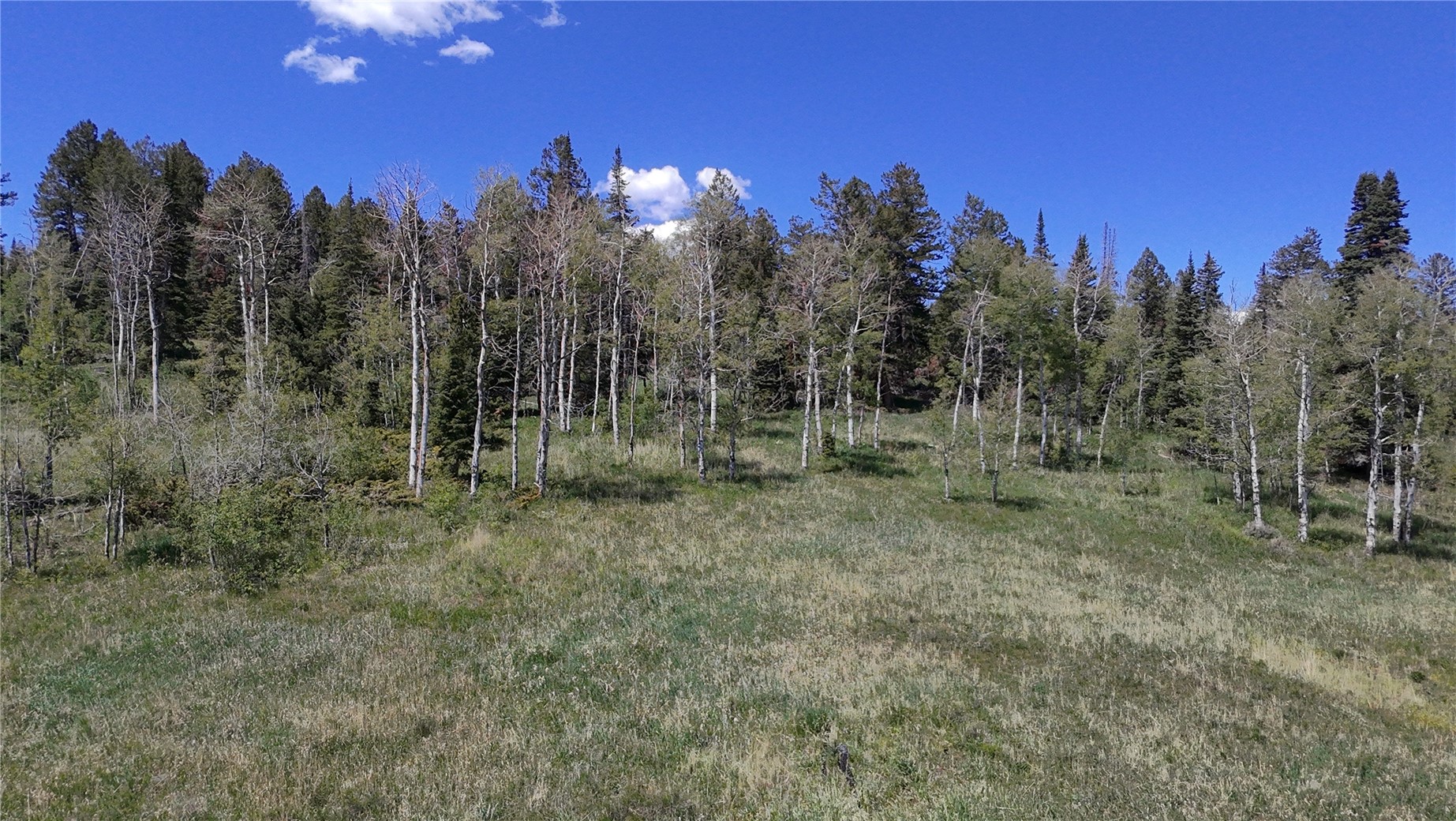 Tbd Spring Creek Ranch Road Silverthorne CO 80498