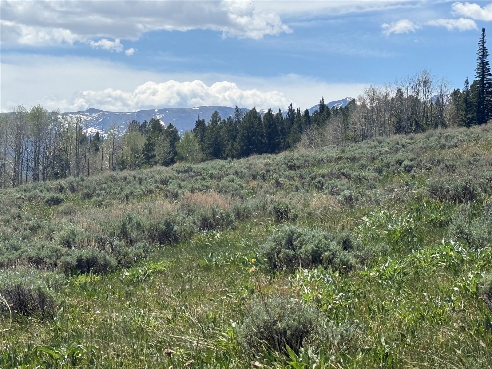 Tbd Spring Creek Ranch Road Silverthorne CO 80498