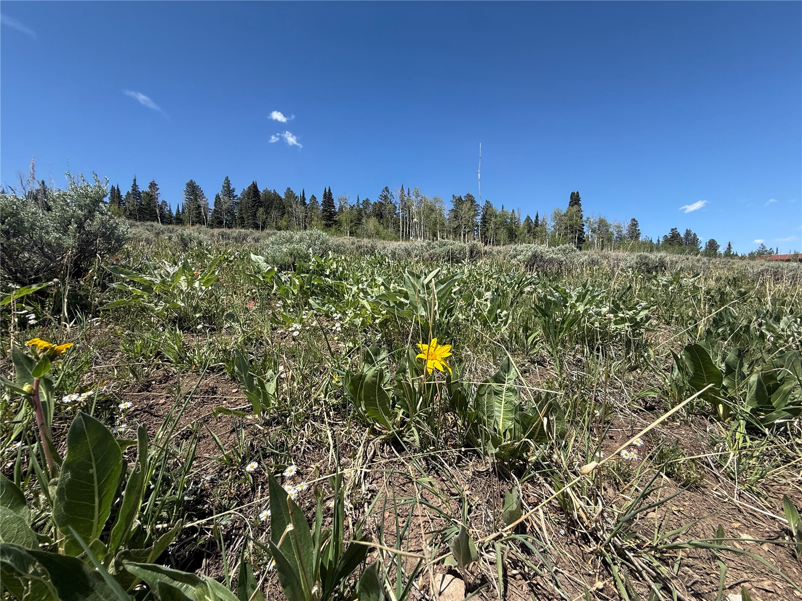 Tbd Spring Creek Ranch Road Silverthorne CO 80498