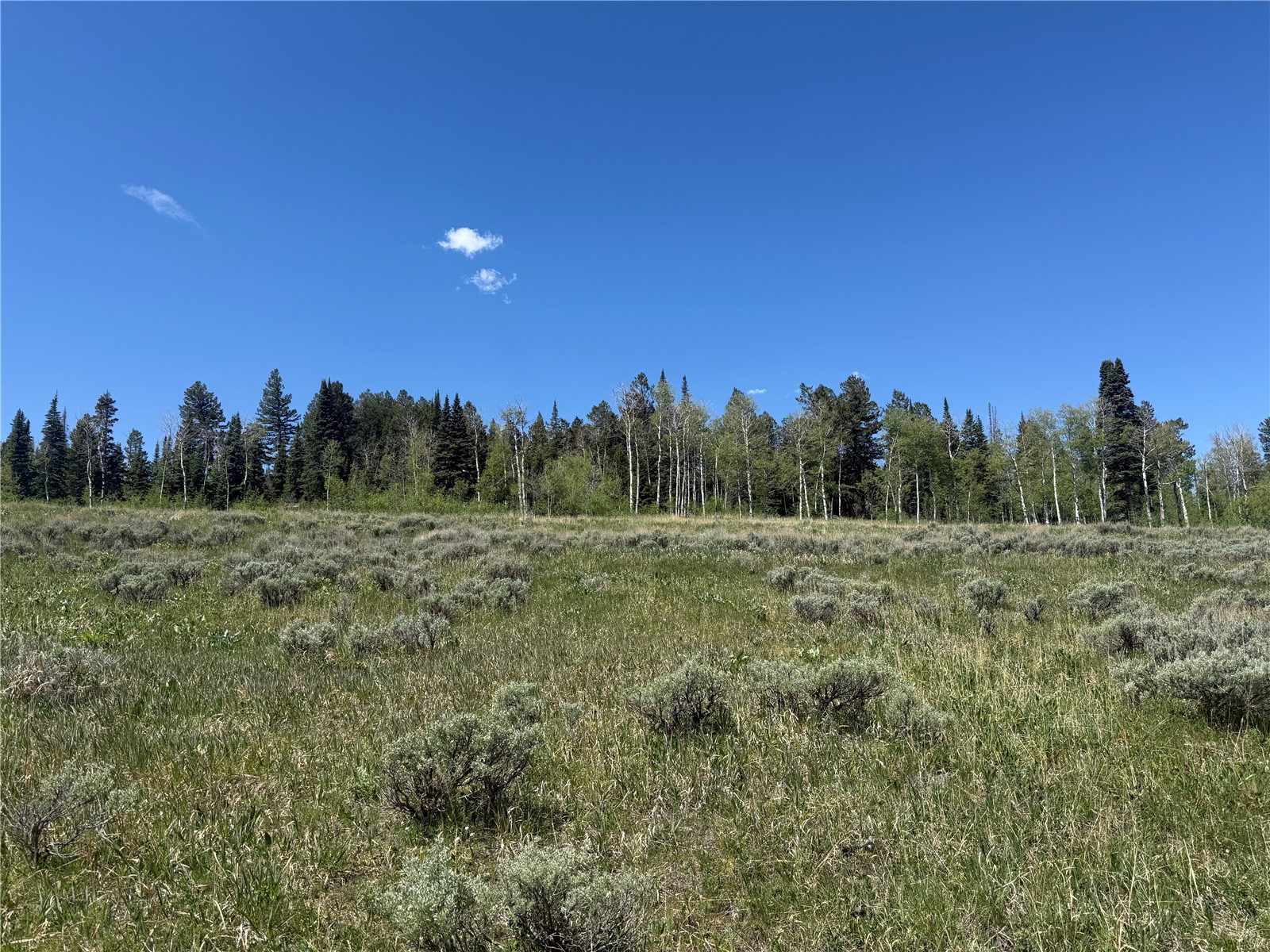 Tbd Spring Creek Ranch Road Silverthorne CO 80498