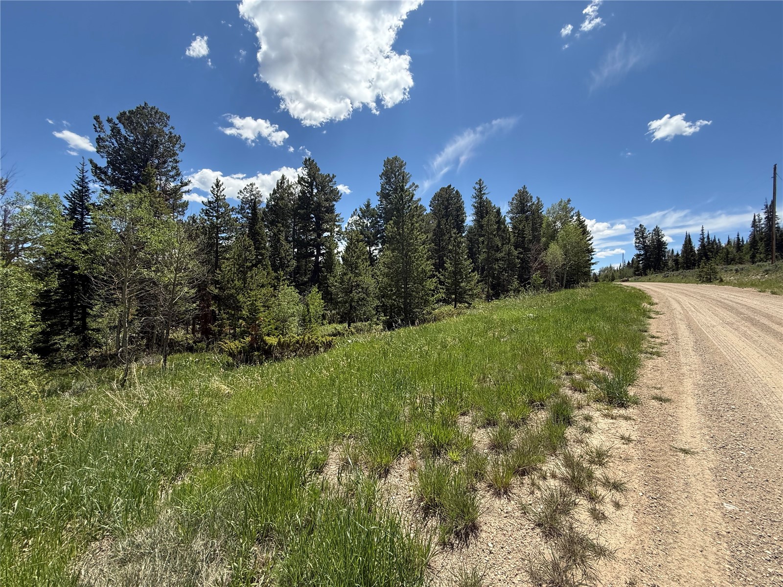 Tbd Spring Creek Ranch Road Silverthorne CO 80498