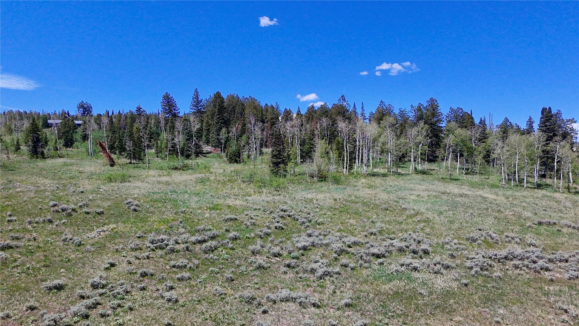 Tbd Spring Creek Ranch Road Silverthorne CO 80498