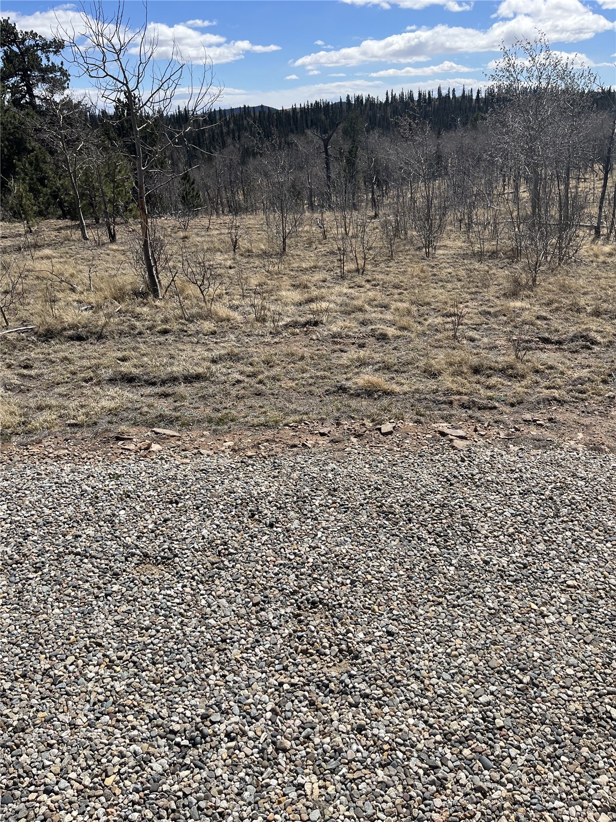 12 Loon Lane Como CO 80432
