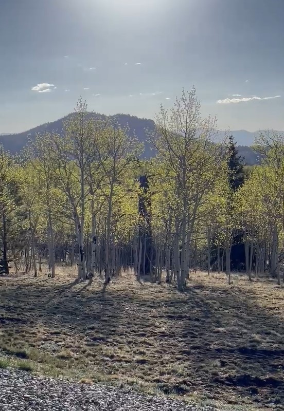 12 Loon Lane Como CO 80432