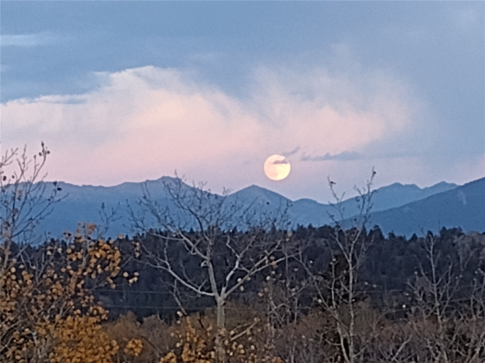 12 Loon Lane Como CO 80432