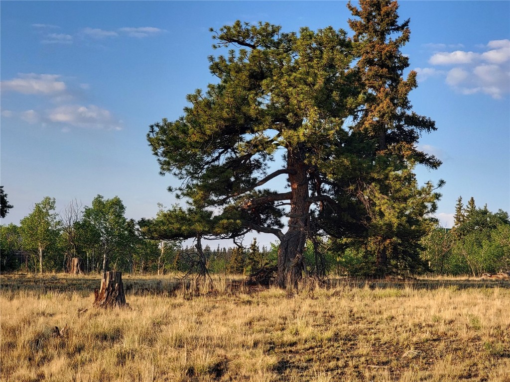 22 Teton Trail Como CO 80432