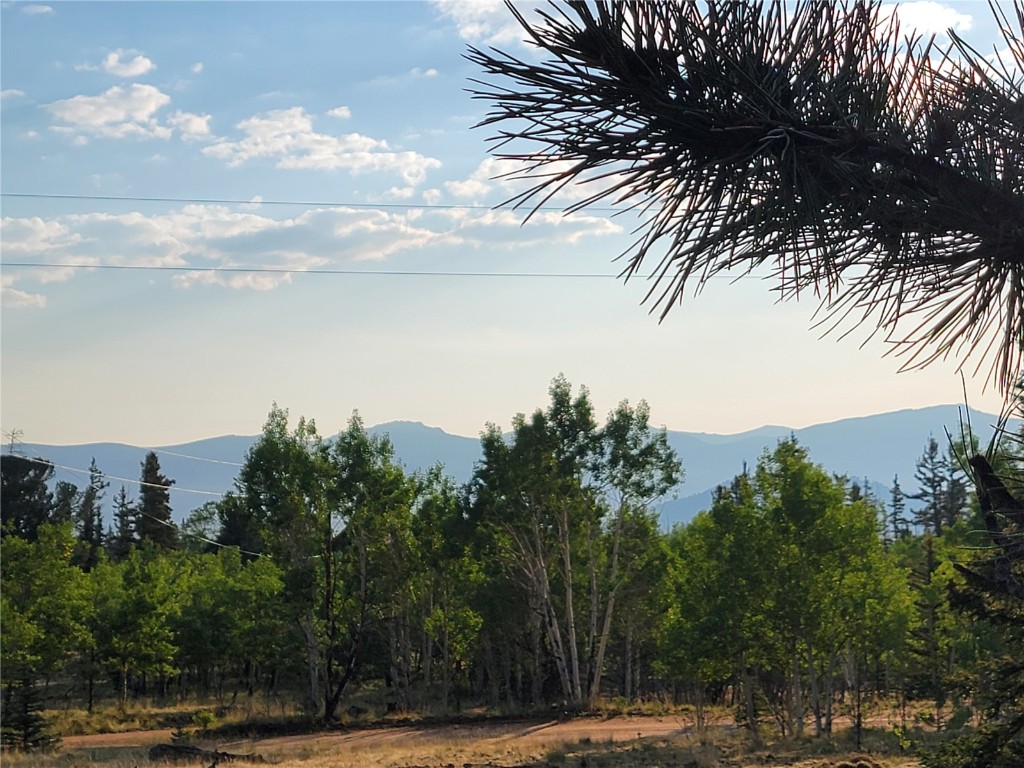 22 Teton Trail Como CO 80432