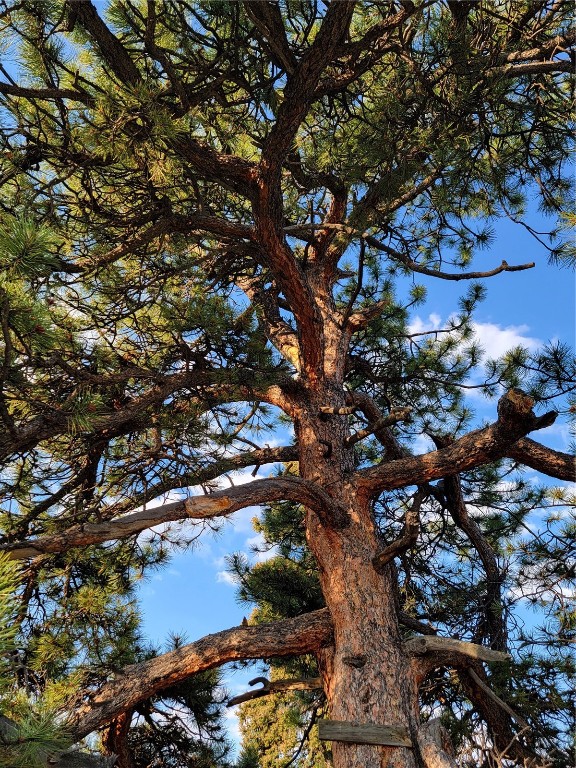 22 Teton Trail Como CO 80432