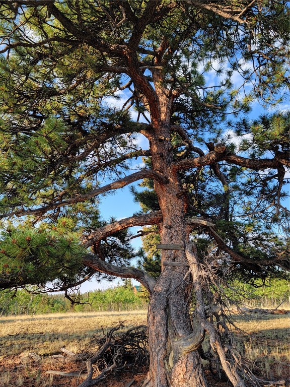 22 Teton Trail Como CO 80432