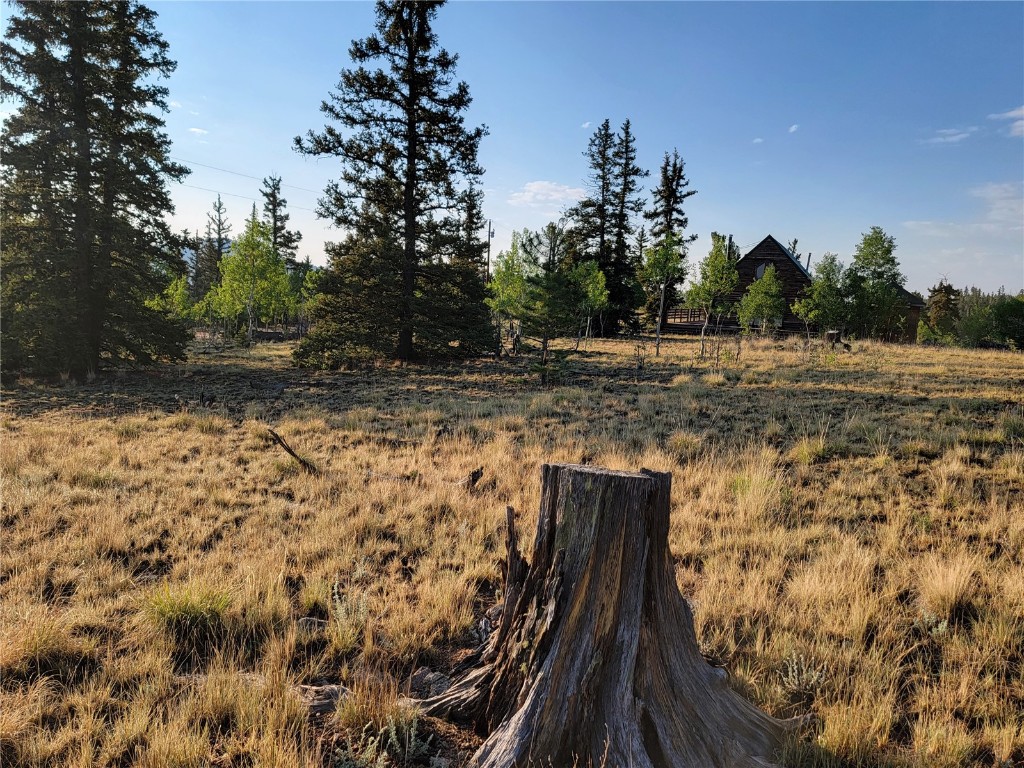 22 Teton Trail Como CO 80432