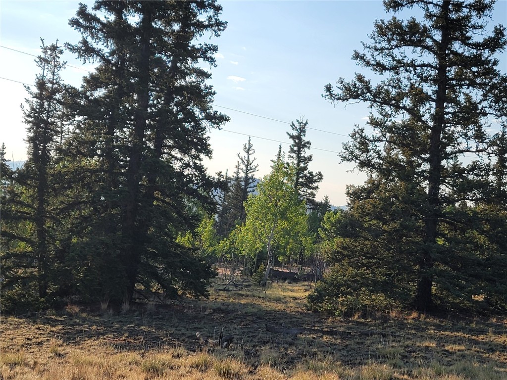 22 Teton Trail Como CO 80432
