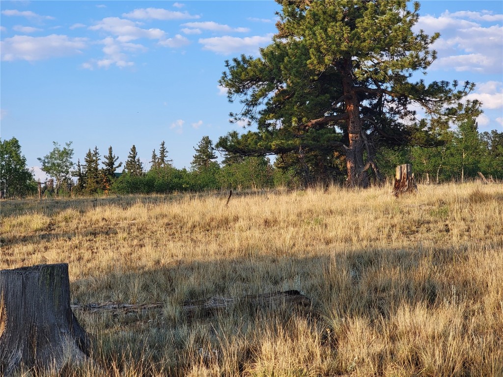 22 Teton Trail Como CO 80432