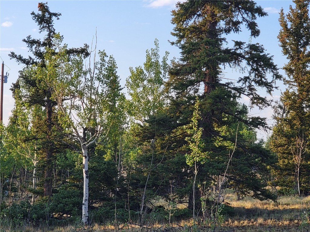 22 Teton Trail Como CO 80432