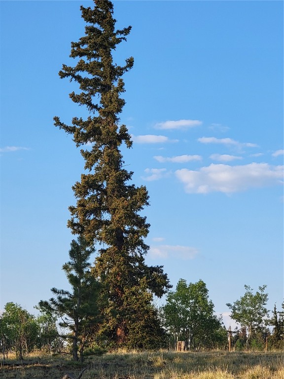 22 Teton Trail Como CO 80432