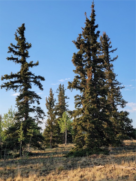22 Teton Trail Como CO 80432