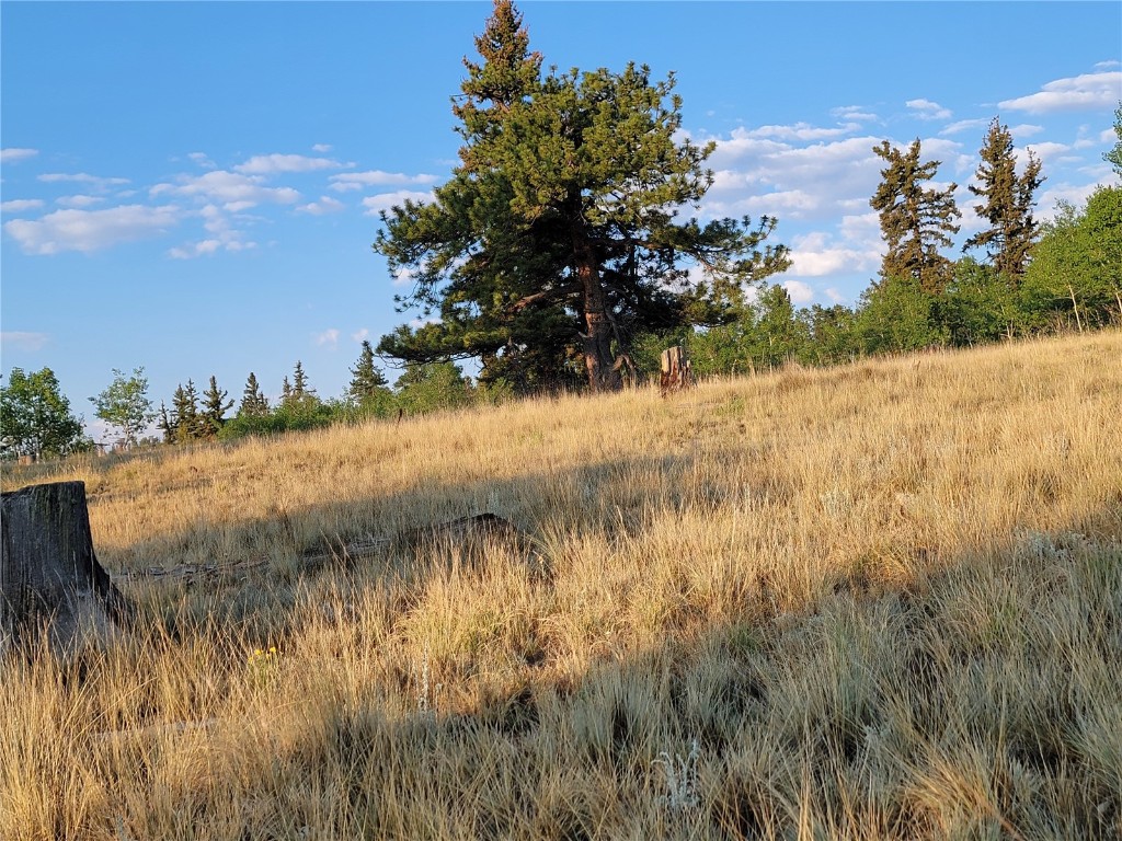 22 Teton Trail Como CO 80432