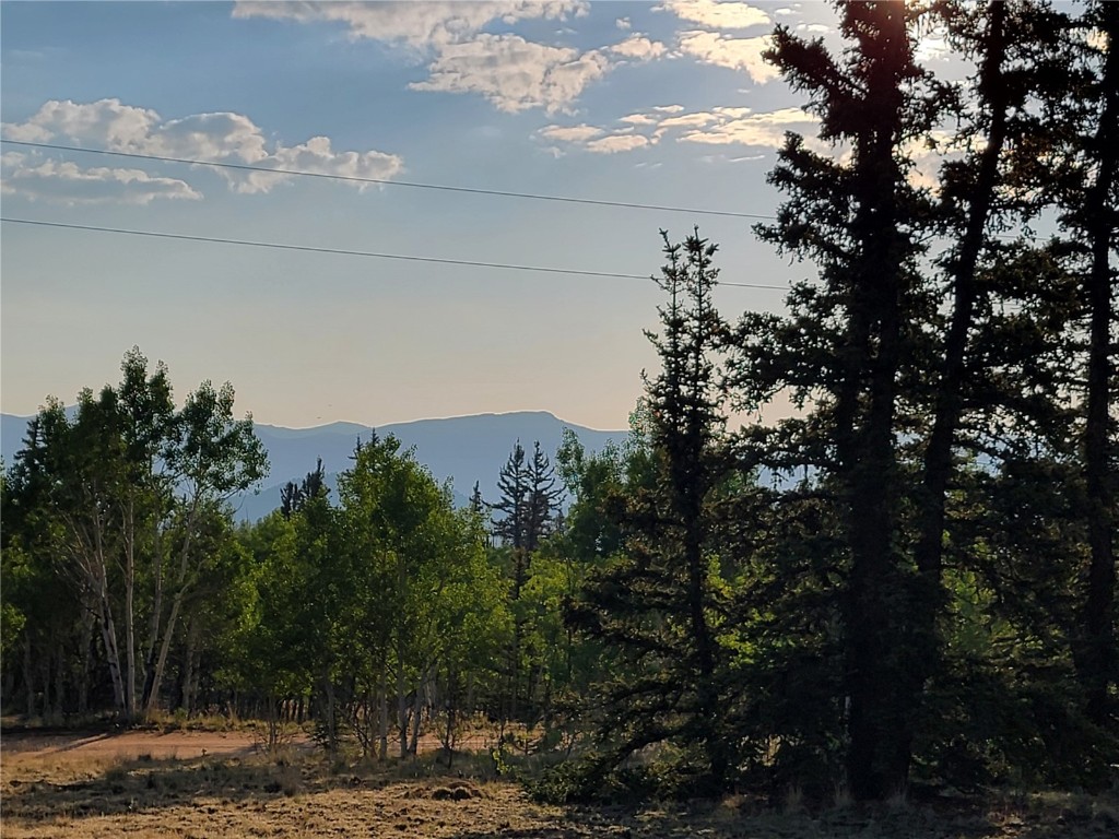 22 Teton Trail Como CO 80432