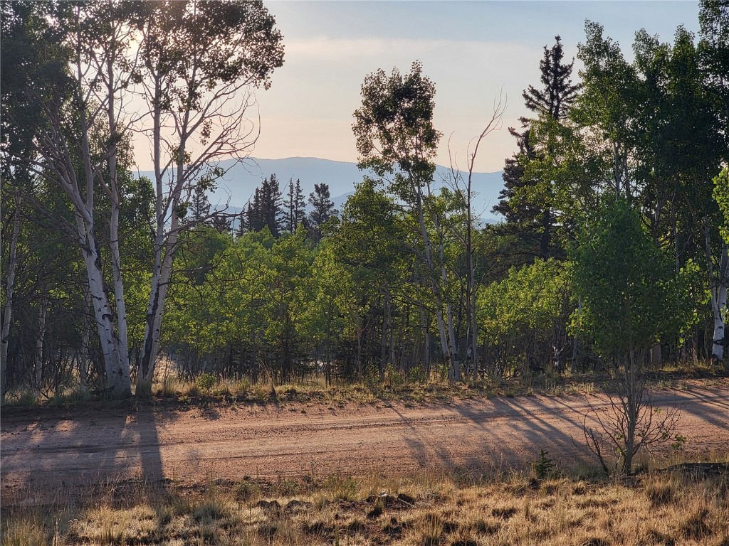 22 Teton Trail Como CO 80432