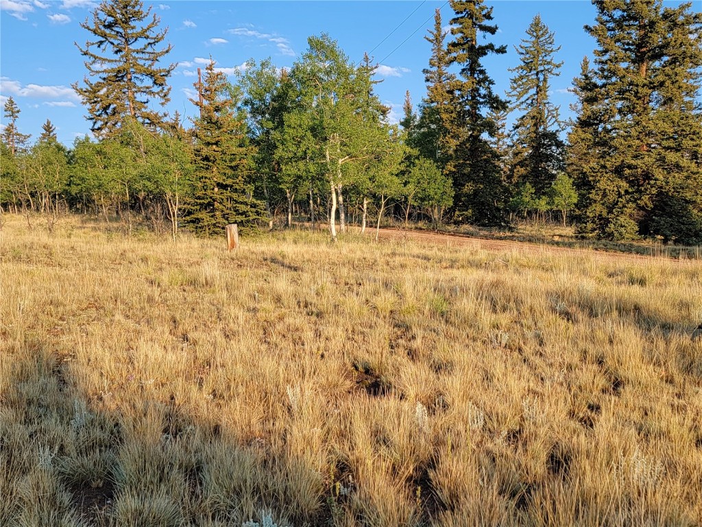 22 Teton Trail Como CO 80432