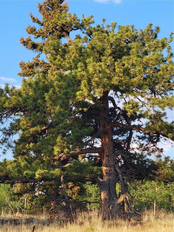 22 Teton Trail Como CO 80432