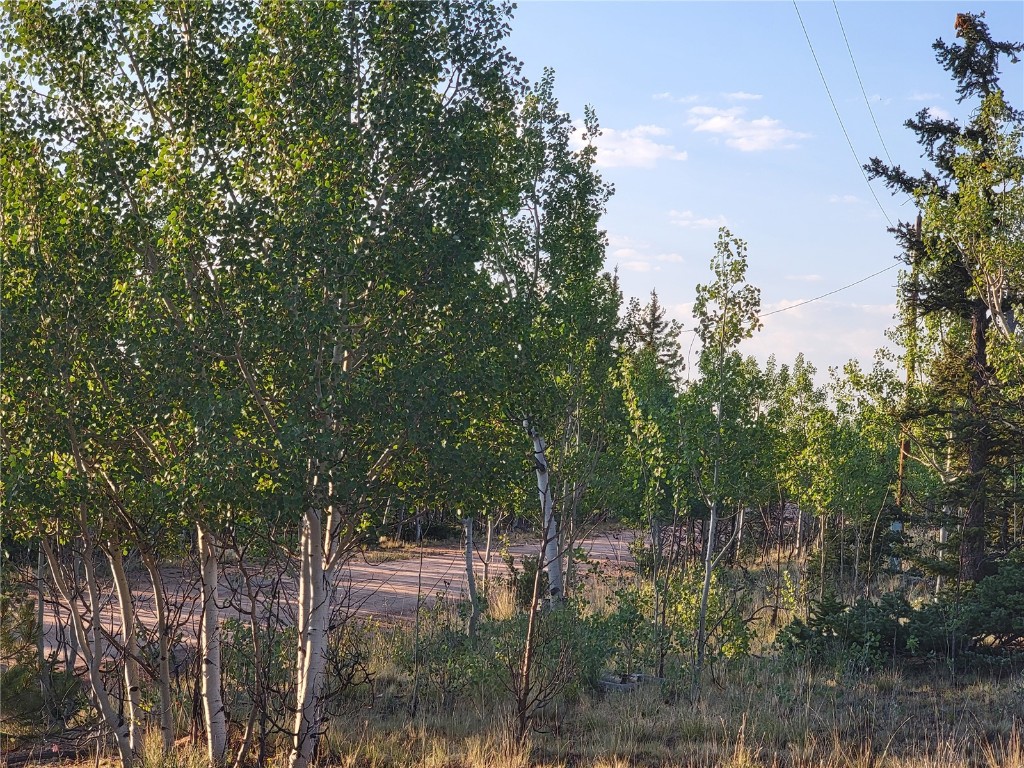 22 Teton Trail Como CO 80432