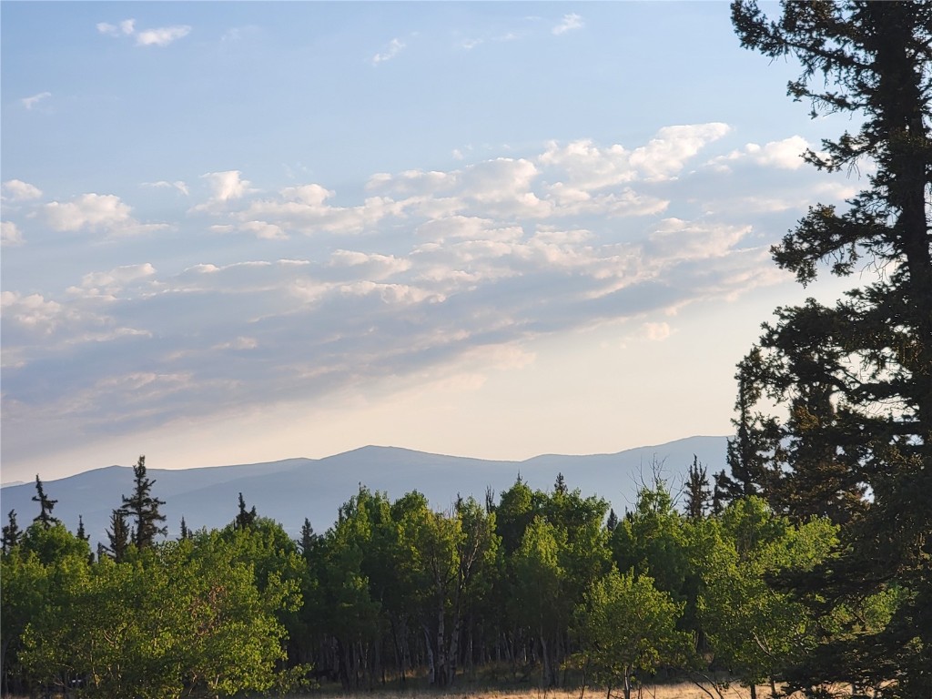 22 Teton Trail Como CO 80432