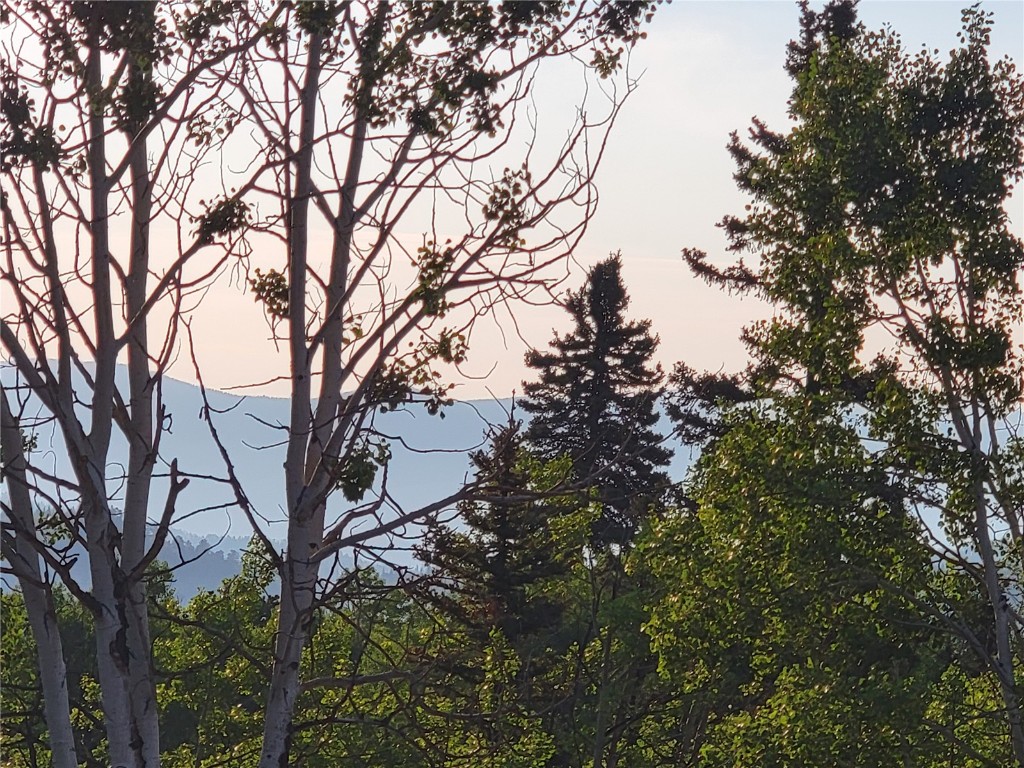 22 Teton Trail Como CO 80432