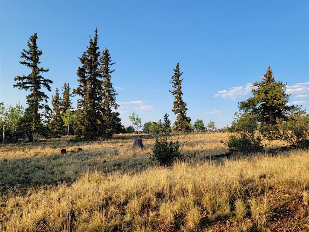22 Teton Trail Como CO 80432