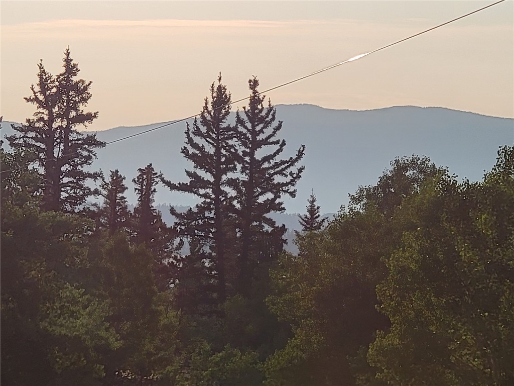 22 Teton Trail Como CO 80432
