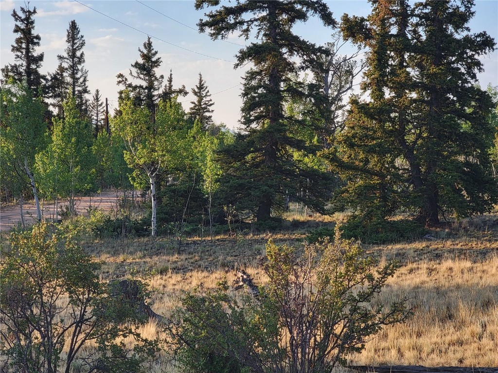 22 Teton Trail Como CO 80432