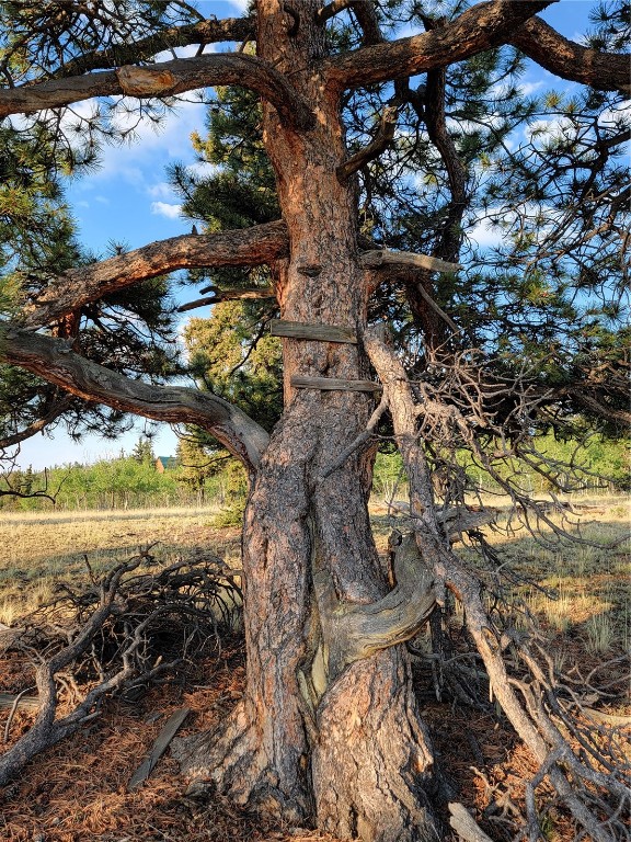 22 Teton Trail Como CO 80432