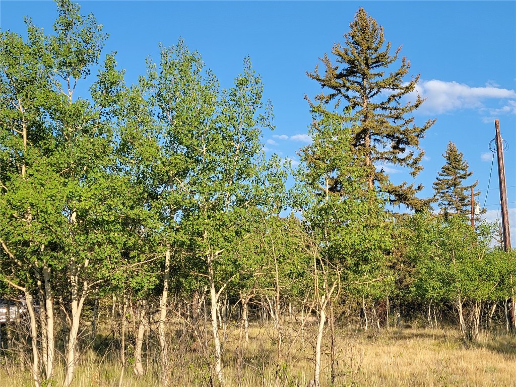 22 Teton Trail Como CO 80432