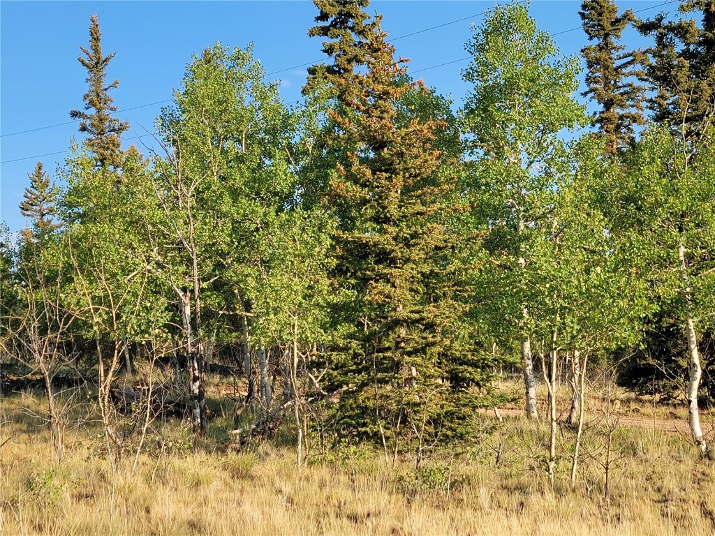 22 Teton Trail Como CO 80432