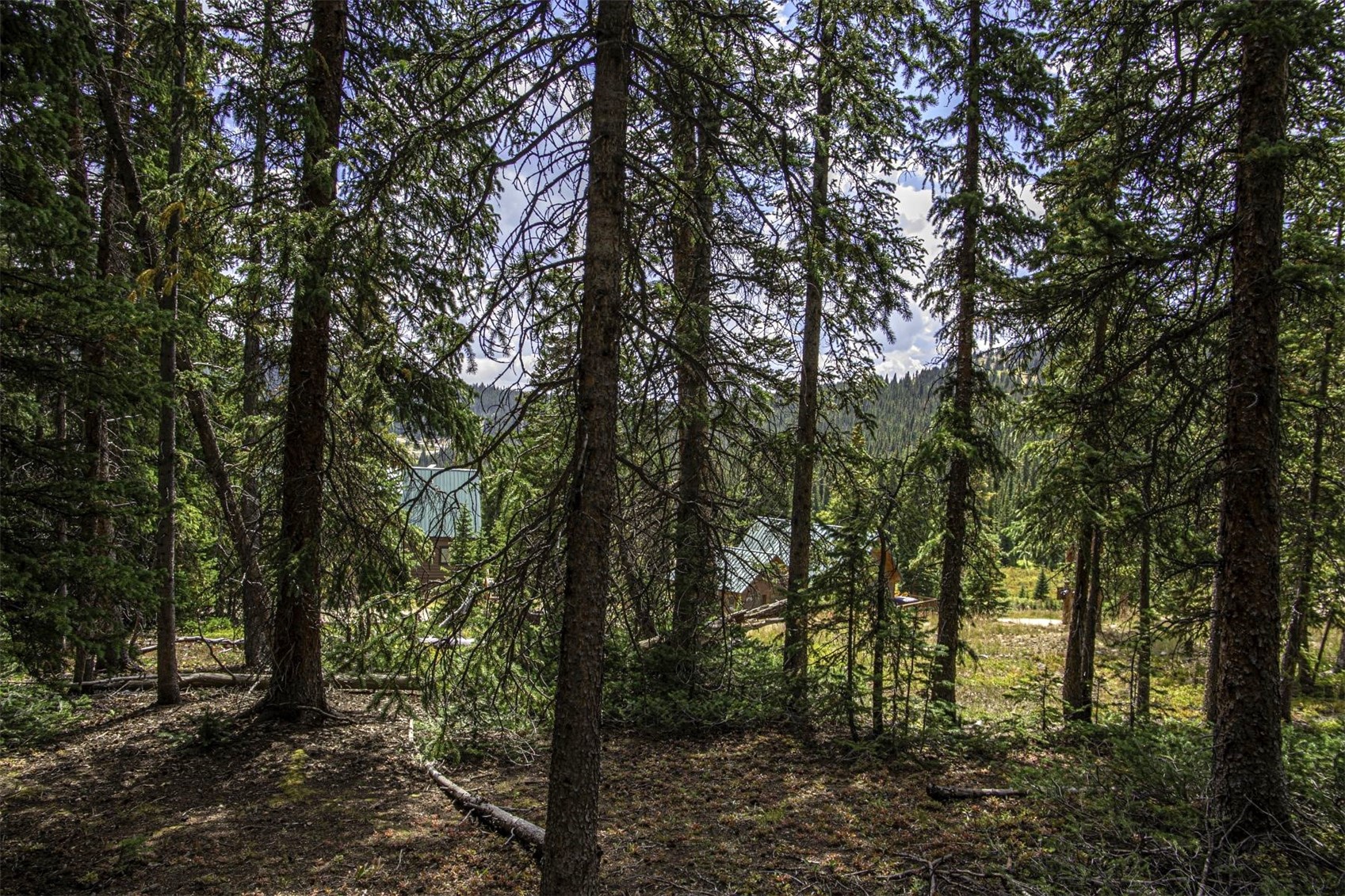 233 Camron Lane Breckenridge CO 80424
