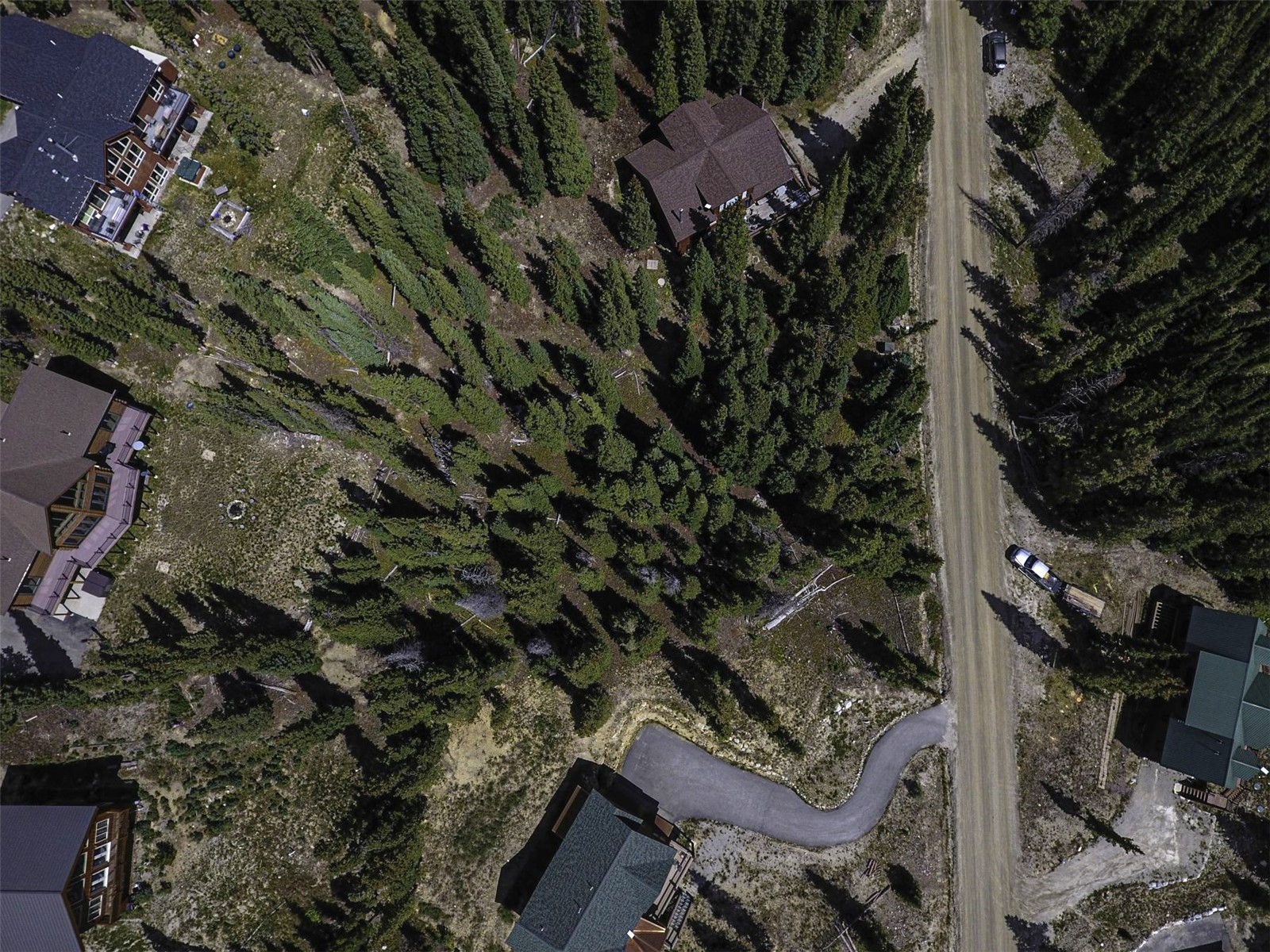233 Camron Lane Breckenridge CO 80424
