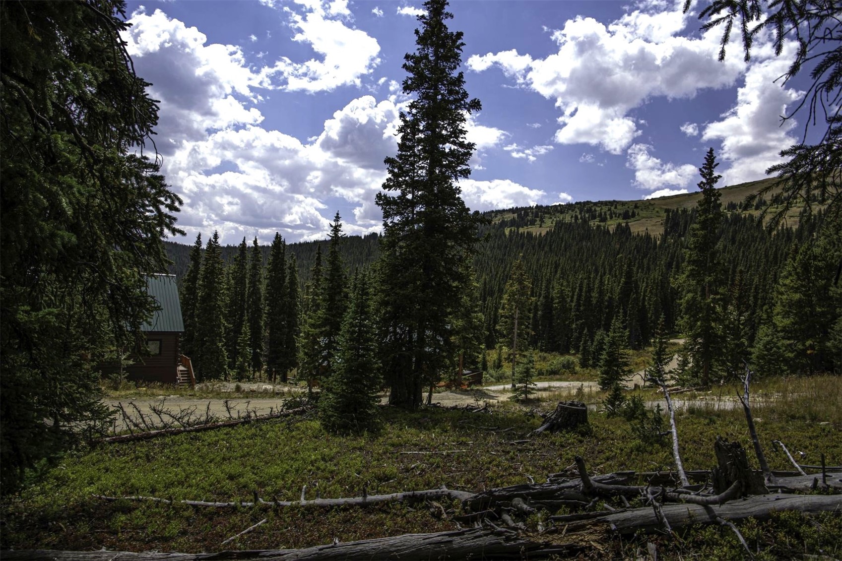233 Camron Lane Breckenridge CO 80424