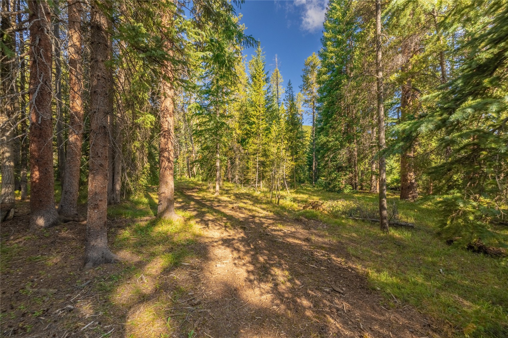 187 Sherwood Lane Blue River CO 80424