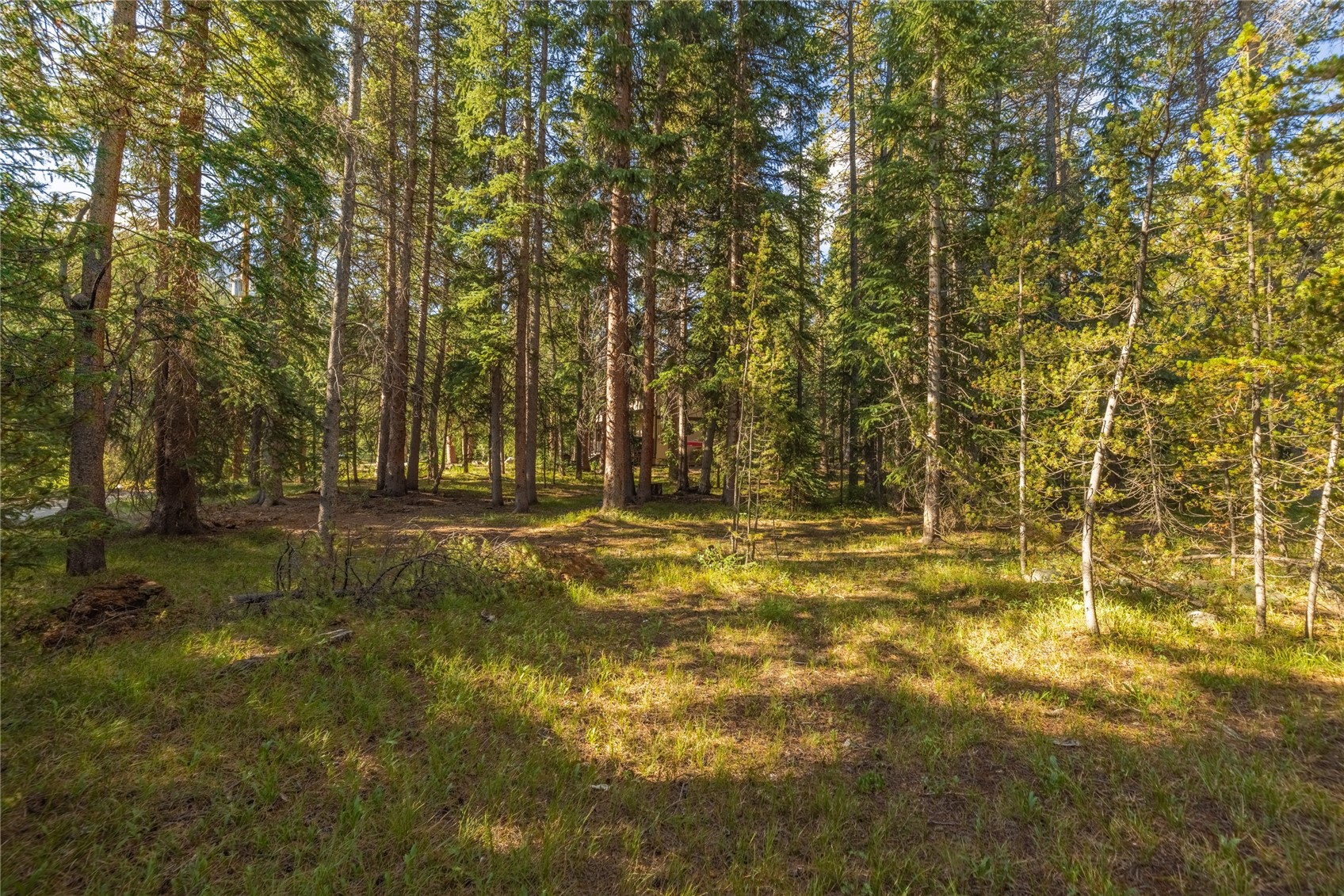 187 Sherwood Lane Blue River CO 80424