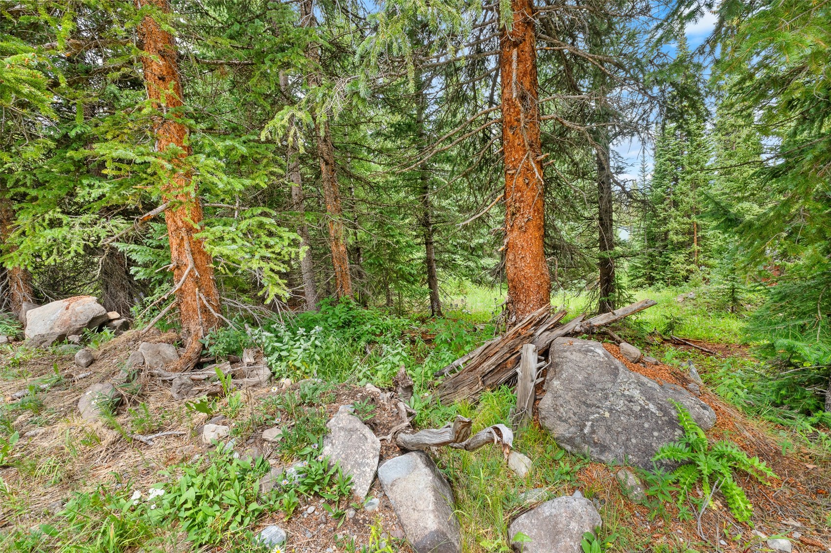 0057 County Road 675 Breckenridge CO 80424