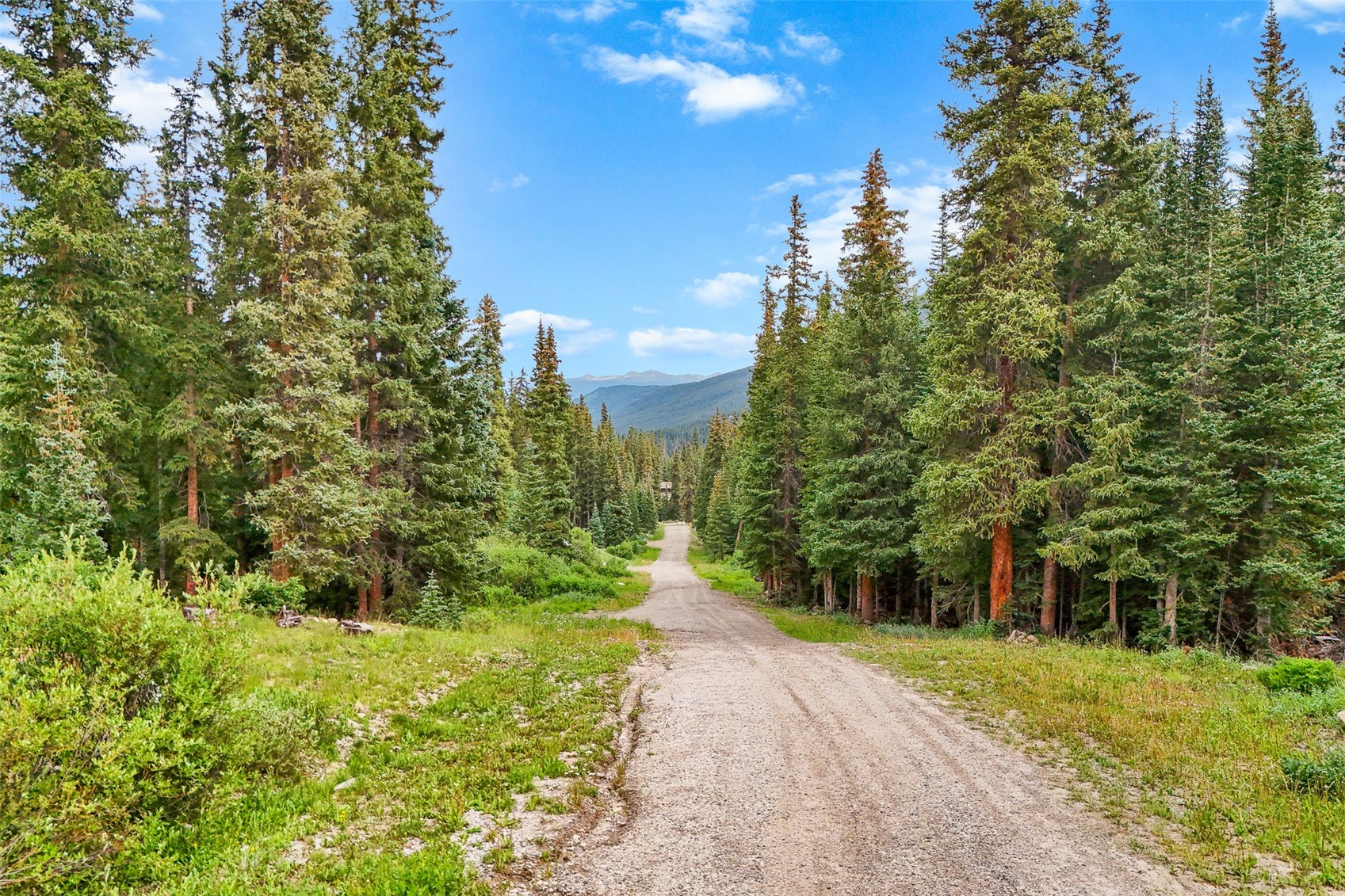 0057 County Road 675 Breckenridge CO 80424