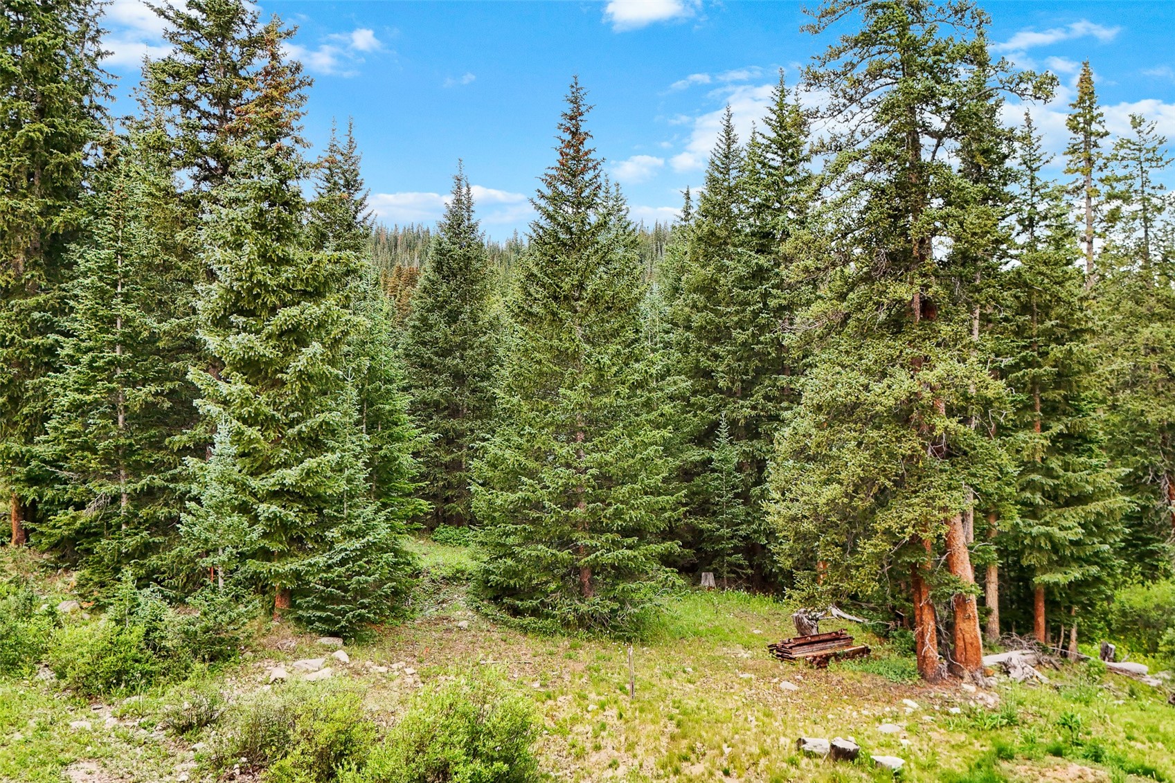 0057 County Road 675 Breckenridge CO 80424