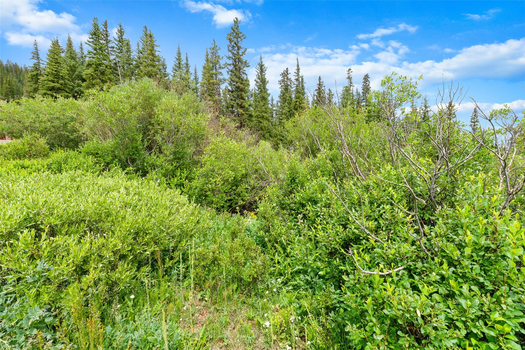 0057 County Road 675 Breckenridge CO 80424