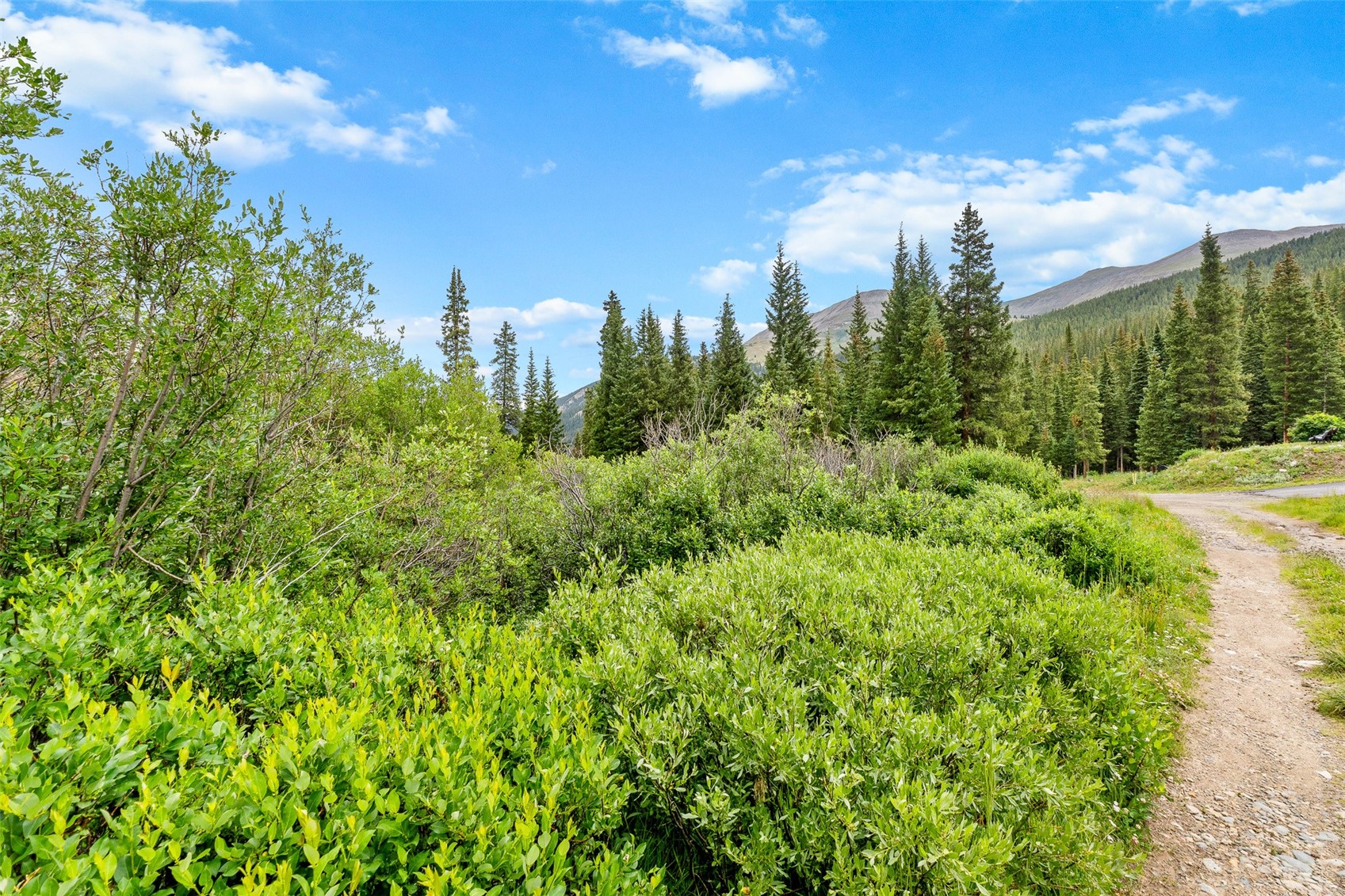 0057 County Road 675 Breckenridge CO 80424