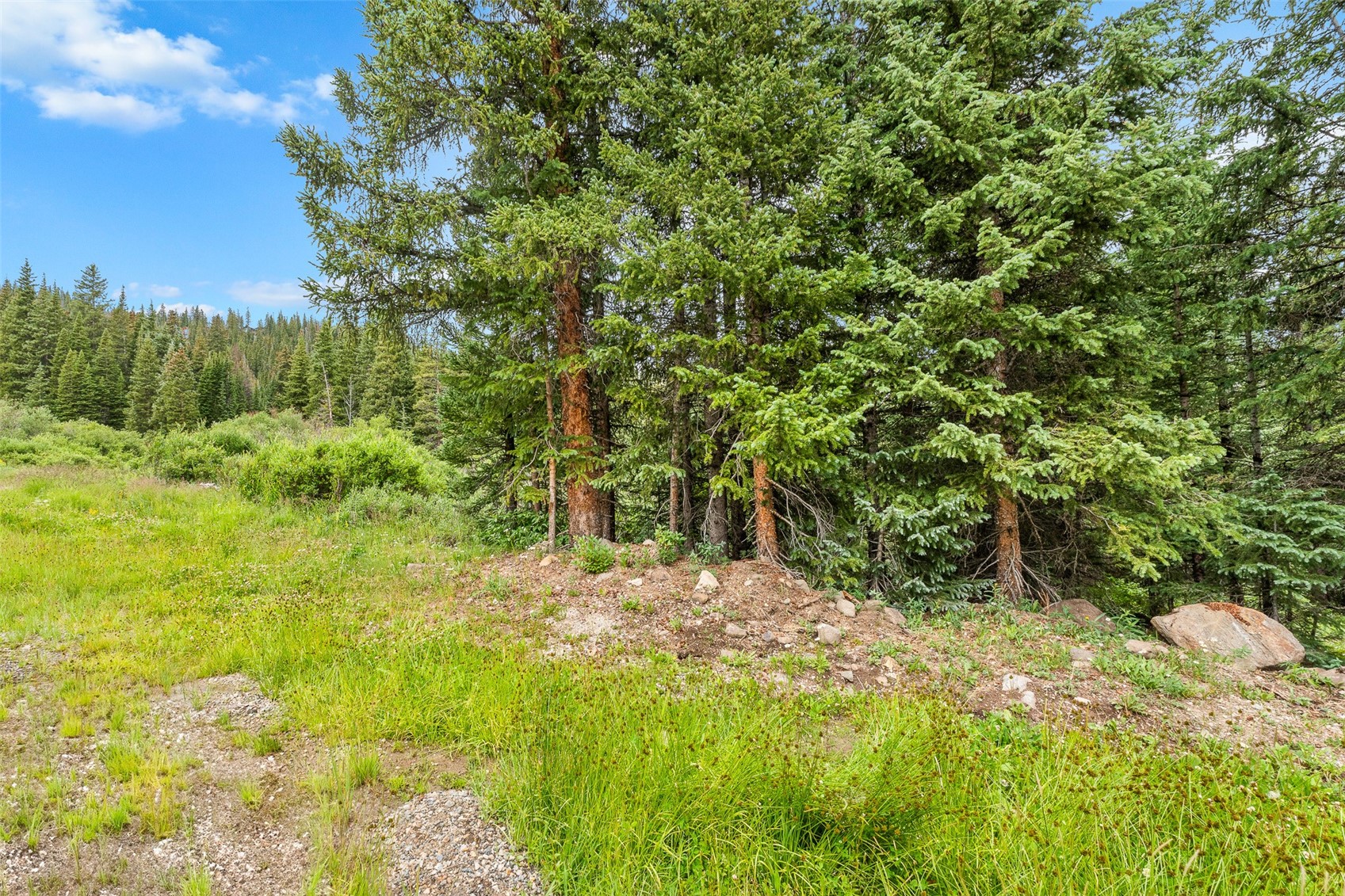0057 County Road 675 Breckenridge CO 80424
