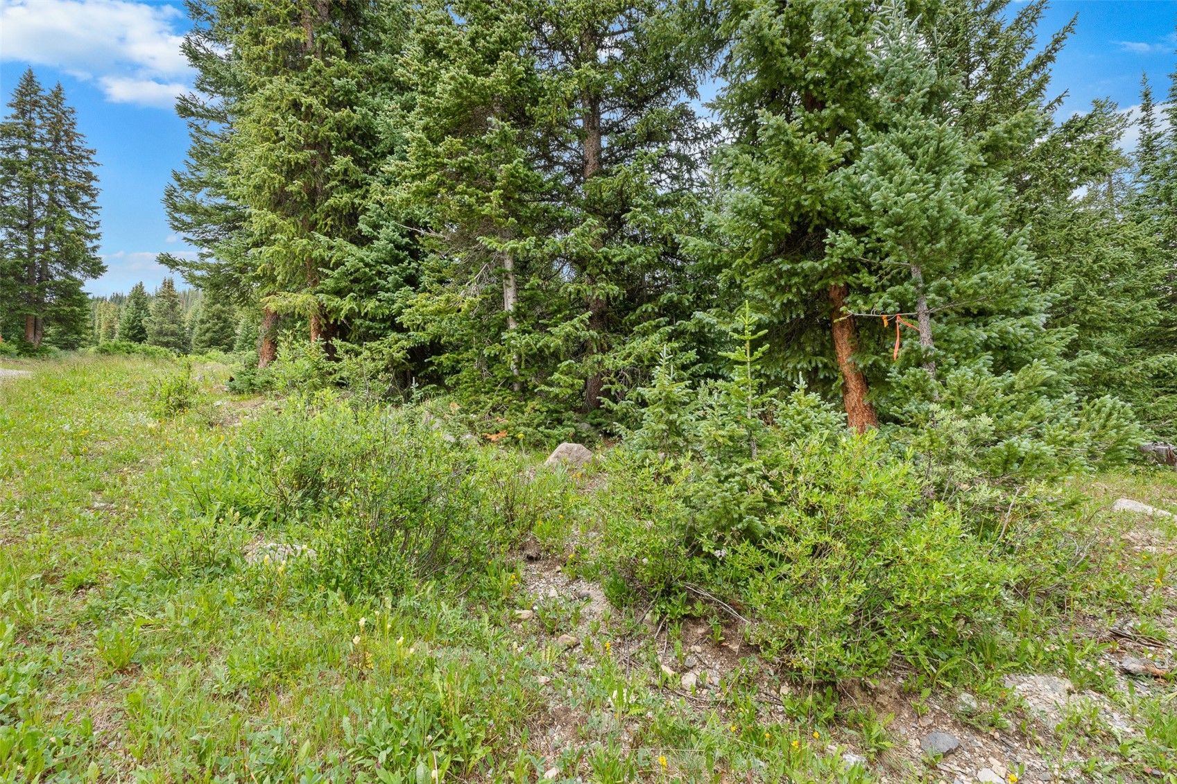 0057 County Road 675 Breckenridge CO 80424